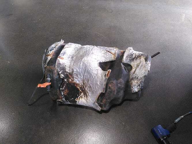 WhatsApp Image 2024-04-08 at 06.52.18(1)