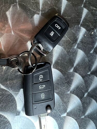 VW T6.1 Beach (11)