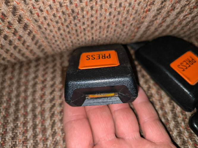 1000119313