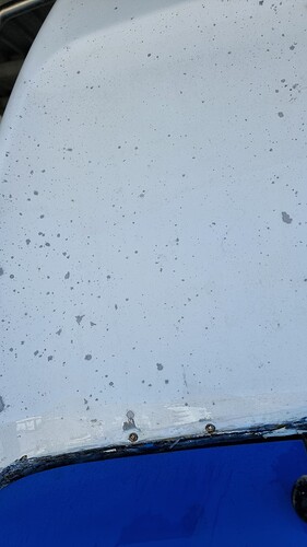 1000184434