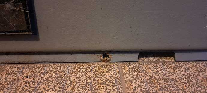 IMG-20241103-WA0027