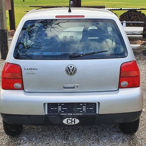 lupo2