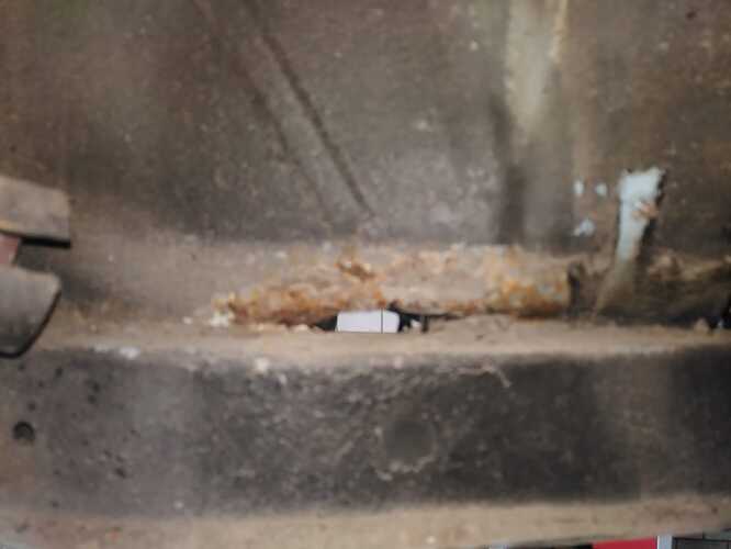 WhatsApp Image 2024-04-08 at 06.52.18(2)