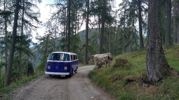 IMG_20200824_152455530_HDR