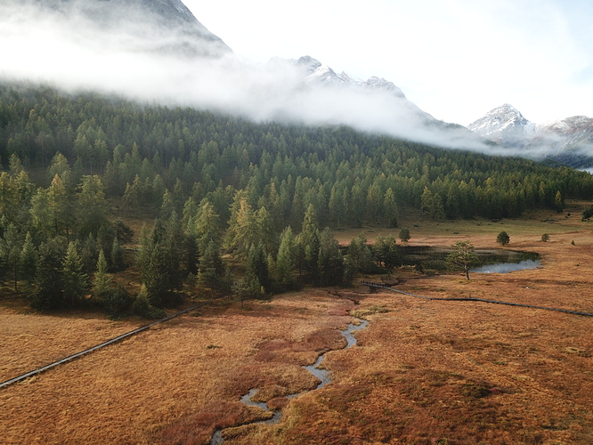 DJI_0041