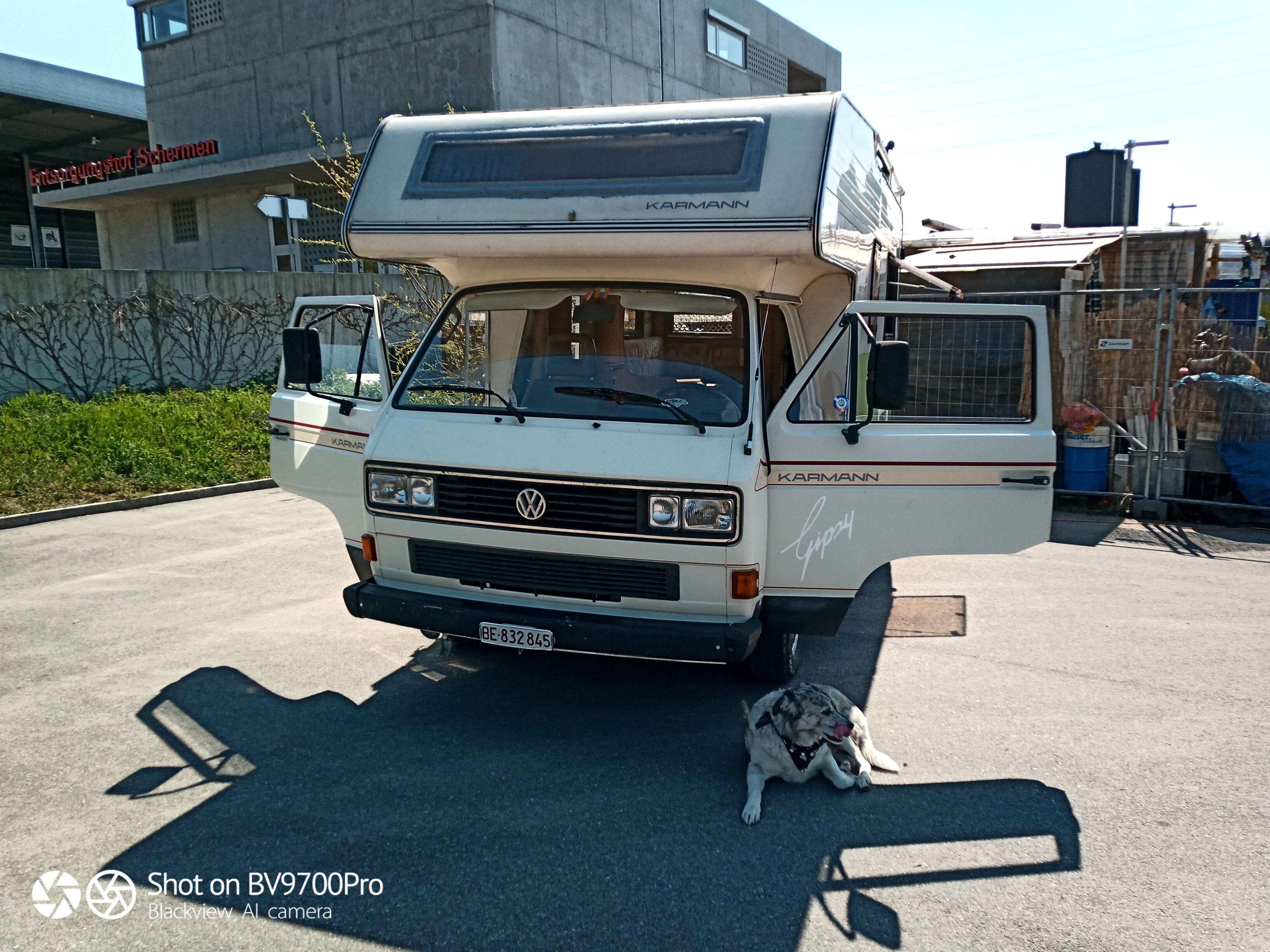 vw-t3-251-biete-vwbusforum-ch